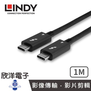 LINDY TYPE-C 被動式 THUNDERBOLT 4 INTEL 原廠認證傳輸線 100W 1M (31120)