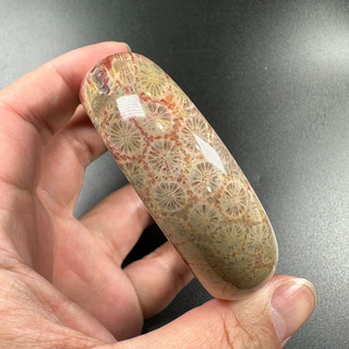 珊瑚玉 手鐲 又稱 菊花石A196-內徑60.5mm-版寬20.2mm