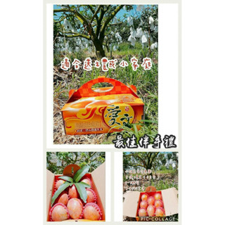 枋山愛文芒果🎉免運：手提精美禮盒5臺斤