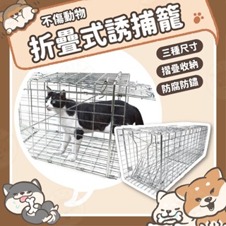 【柴本部】折疊式誘捕籠 誘捕籠 捕貓籠 貓咪誘捕籠 捕貓神器 折疊籠 捕狗籠 大型誘捕籠 貓誘捕籠 貓 TNR救援 動物