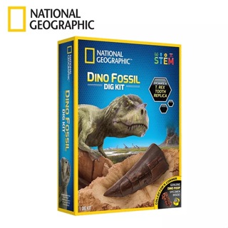 National Geographic國家地理 恐龍化石挖掘套組 兒童玩具