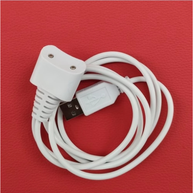 USB 充電線 1米 副廠適 Waterpik WF-10W/WF10  沖牙機 磁吸式 充電頭