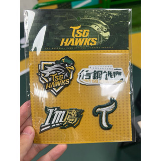 🔥全蝦皮最便宜🔥臺鋼雄鷹刺繡隊徽臂章Patch