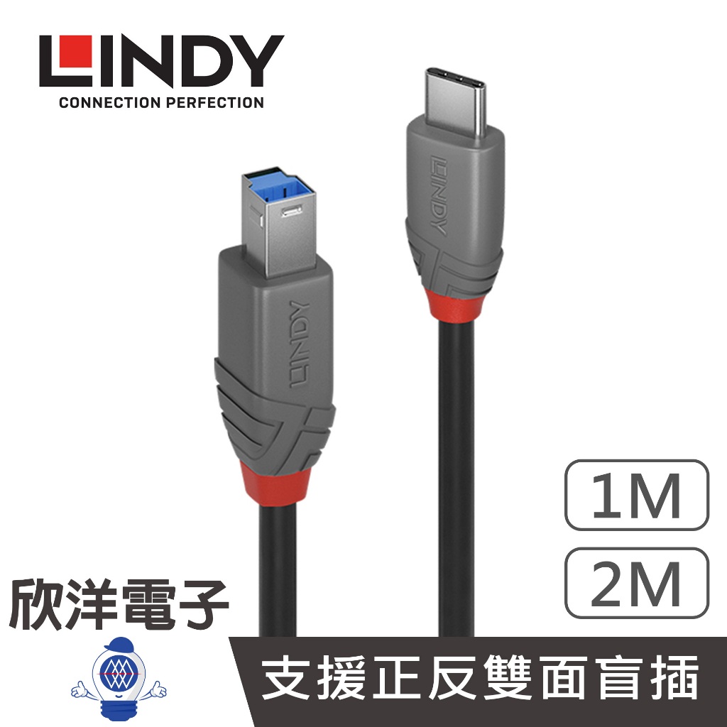 LINDY林帝 USB3.2 GEN1 TYPE-C 公 TO TYPE-B 公 傳輸線 TYPE-C to B