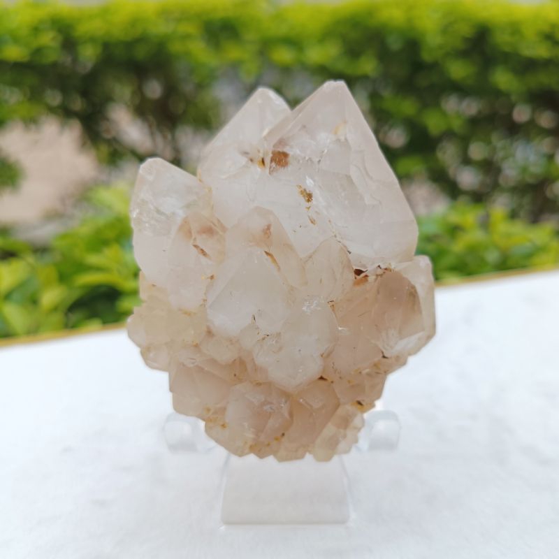 『靖靖水晶礦石』蓮花骨幹水晶 馬達加斯加 白水晶骨幹