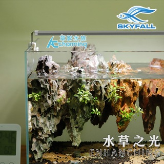 【AC草影】SKYFALL 天賞 水草之光 水草跨燈【一支】30cm 40cm 魚缸燈具 陽性水草 陰性水草 水草led