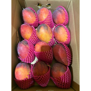 （現貨）精品愛文芒果一箱六公斤