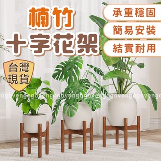 [臺灣現貨] 盆栽 盆栽架 植物架 花盆架 盆栽架子 落地花架 十字花架