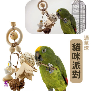 香濃❤通草球貓咪派對 鸚鵡天然啃咬磨牙玩具 安全啃咬玩具