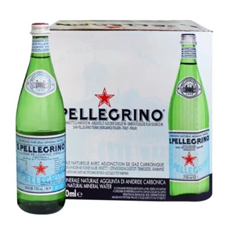 COSTCO代購 衝評優惠 San Pellegrino 聖沛黎洛 天然氣泡水 750毫升 X 24瓶 開發票可統編