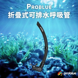 可排水 problue 呼吸管 自潛 水肺潛水 水肺裝備 折疊式呼吸管 自由潛水 自潛裝備 潛水用品 潛水 排水閥