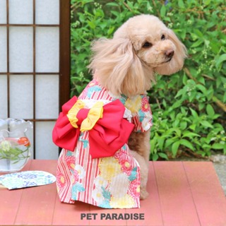 【PET PARADISE】日式菊花浴衣 (4S/3S/SS/DM/SM/L)｜PP 2024新款 春季 中大型犬