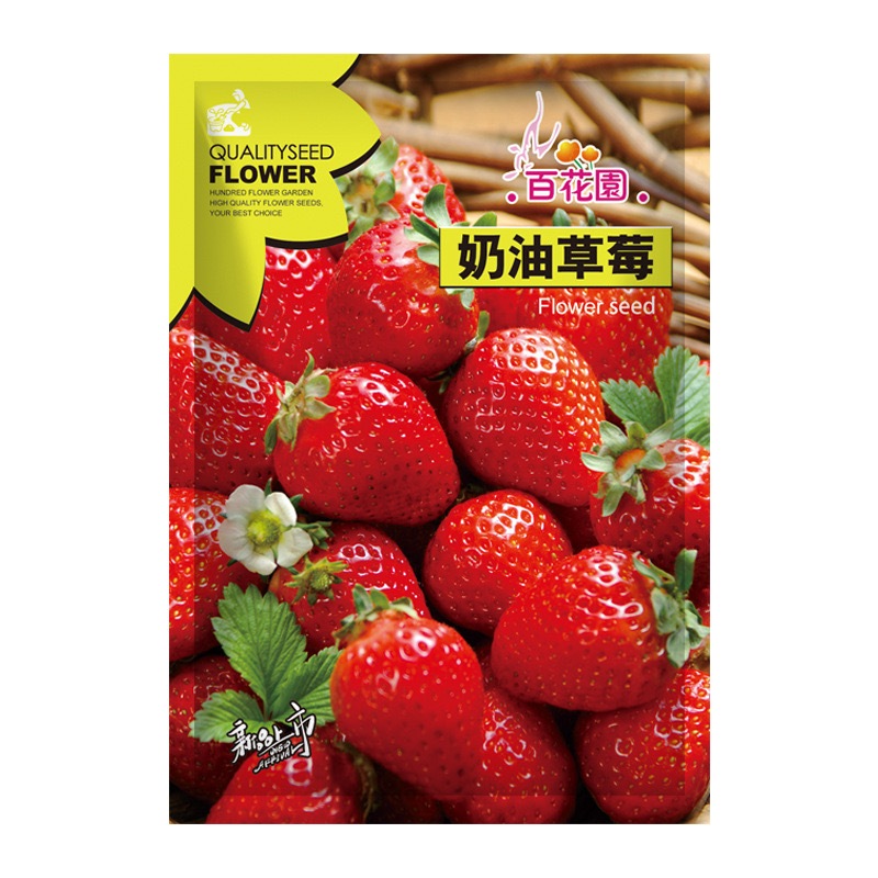 【99免運】奶油草莓原裝種子（200粒）庭院盆栽水果種子盆栽四季奶油草莓種子發芽率95