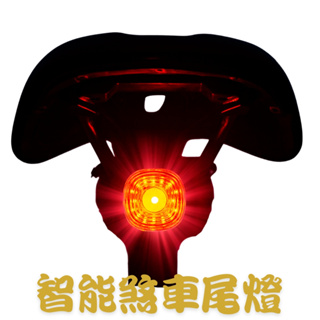 VIVIMAX BL-09S 智能感應煞車尾燈/後燈/煞車燈-崇越單車休閒館
