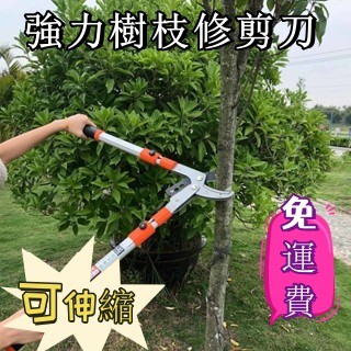 🔥可剪4CM大枝 修剪刀🔥伸縮粗枝剪 大力士剪 園林樹枝剪 果樹大枝省力剪 剪枝剪 大枝剪 剪刀 園藝修剪刀 修枝刀