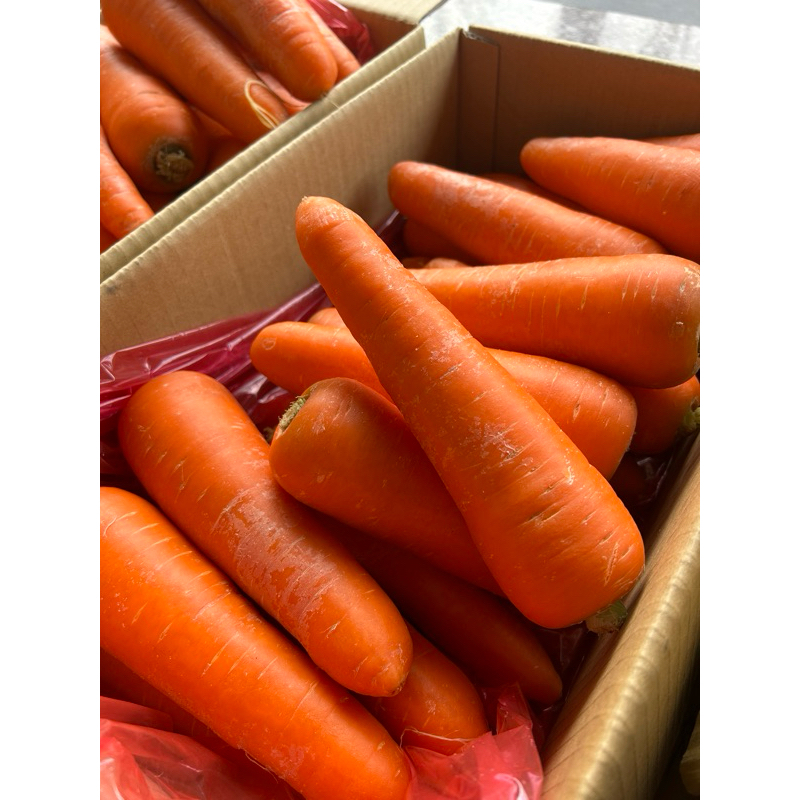 小富Food蔬果批發🥬/紅蘿蔔🥕《泰山自取》約600克士10%
