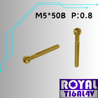 【瘋螺絲】ROYAL 鈦合金螺絲★ M5*50B P:0.8 錐形螺絲★64鈦/正鈦/鈦合金螺絲★出貨附發票★土豪金