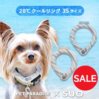 【PET PARADISE】寵物涼感SUO降溫項圈 (3S-L)｜PP 2023新款 28℃冰凍降溫 貓咪項圈 大人可用