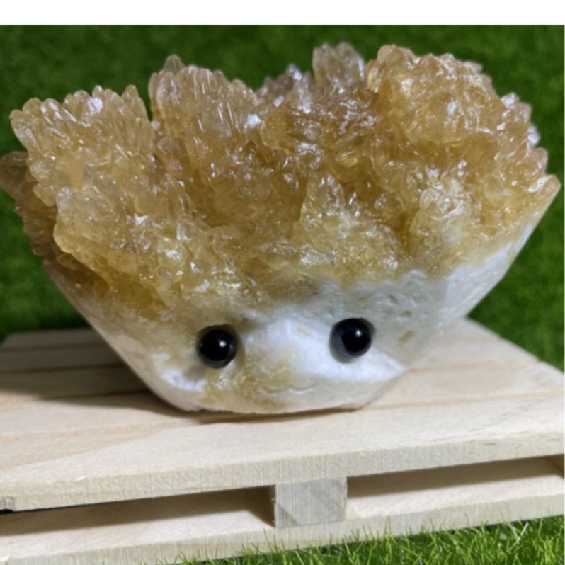 刺刺的價格推薦- 2025年11月| 比價比個夠BigGo