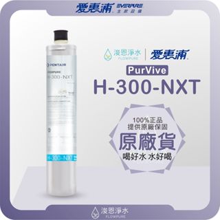 【原廠公司貨】愛惠浦 H300NXT 濾心 ( 濾芯 愛惠浦濾心 愛惠浦濾芯 濾水器 淨水器 愛惠普 淨水器濾心 )