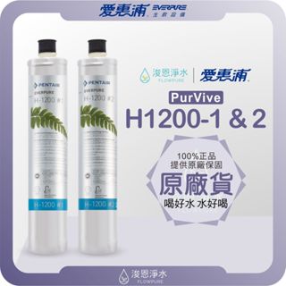 【原廠公司貨】愛惠浦 H1200 濾心 ( 濾芯 愛惠浦濾心 愛惠浦濾芯 濾水器 淨水器 愛惠普 淨水器濾心 活性碳)