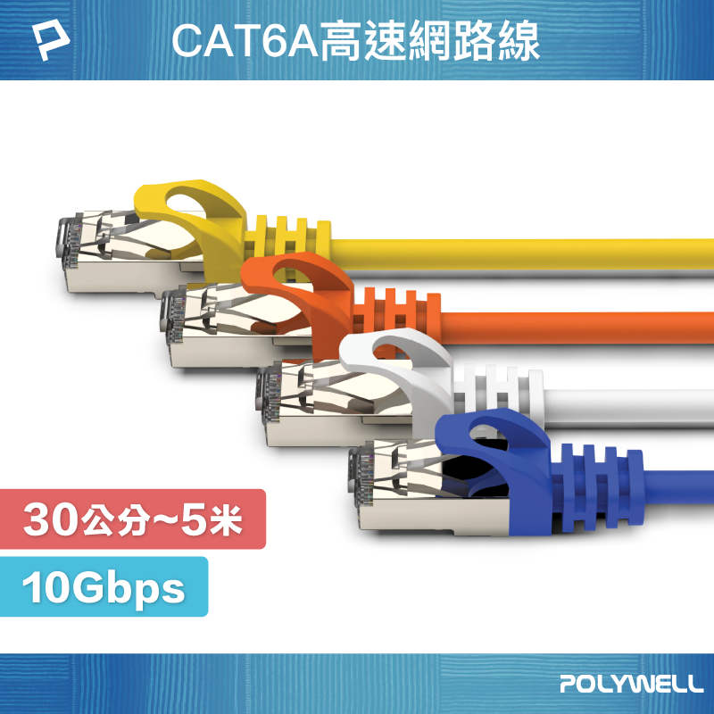 POLYWELL CAT6A 高速網路線 30公分~5米 10Gbps 網路線 RJ45 福祿克認證 寶利威爾 台灣現貨