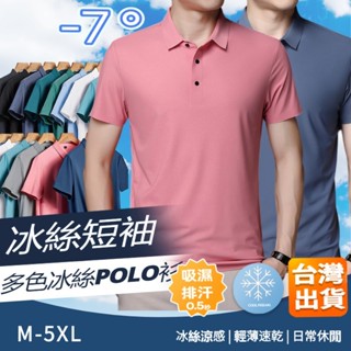 🔥臺灣出貨🔥冰絲 polo衫男 涼感衣 冰絲衣 排汗衣 網眼 polo衫 男生短袖上衣 運動短袖 速乾運動衫 吸濕排汗衫