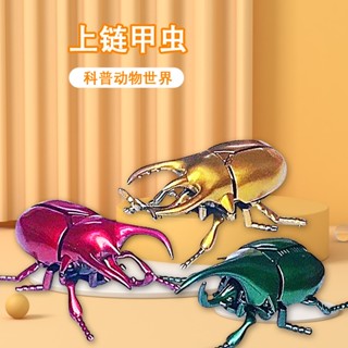 發條甲蟲 上鍊昆蟲 安全環保材質 發條玩具 學生獎勵 學生小禮物 交換禮物 模擬昆蟲 發條玩具 學爬學步玩具 學步玩具