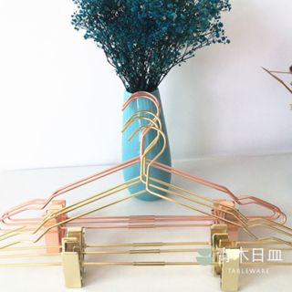 〖臺灣現貨〗輕奢金色衣架 鋁合金衣架 鋁製衣架 質感衣架 質感設計衣架 北歐設計衣架 極美鋁合金衣架 金色衣架 衣架