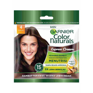 Garnier Pewarna Rambut