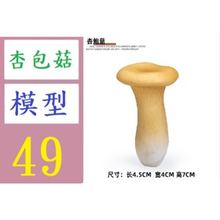 【臺灣倉庫現貨】香菇蘑菇菌類植物模型塑膠兒童玩具 杏包菇模型擺飾 香菇道具