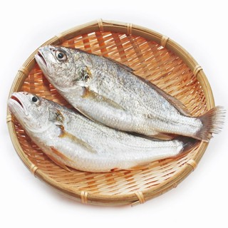 【海豐生鮮】野生白口魚 3去 150g-180g/隻 海鮮/魚/白口魚