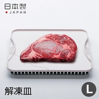 【現貨開發票+領卷免運】【日本製杉山金屬五倍速解凍板】急凍盤/散熱盤/鋁合金/退冰盤/急速冷凍盤/三洋堂