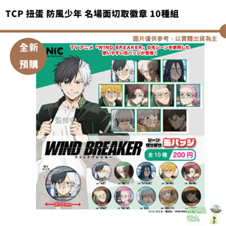 TCP 扭蛋 防風少年 名場面切取徽章 10種組【皮剋星】全新現貨