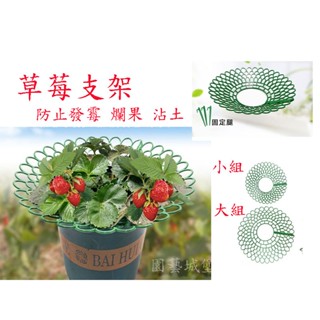 【園藝城堡】草莓支撐架 草莓架 草莓支架 水果支架 草莓墊高架 草莓立體支架 防腐爛果實支撐架 植物支架