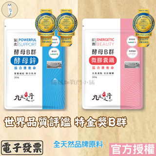 【天然維生素酵母Ｂ群】高效吸收 酵母鋅 微膠囊鐵 鋅片 維他命 鐵質 補鐵 男性B群 女性 葉酸 鐵劑 九五之丹