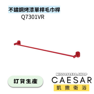 Caesar 凱撒衛浴 不鏽鋼烤漆 單桿毛巾桿 Q7301VR 毛巾桿 浴室配件 不鏽鋼毛巾桿