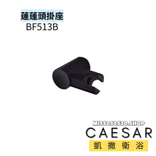 Caesar 凱撒衛浴 蓮蓬頭掛座 BF513B 掛座 把手掛座