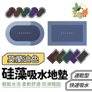 矽藻吸水地墊 矽藻泥速乾防滑地墊 矽藻吸水地墊 北歐風軟矽藻泥浴室衛生間吸水地墊 廁所進門腳墊 浴室防滑墊