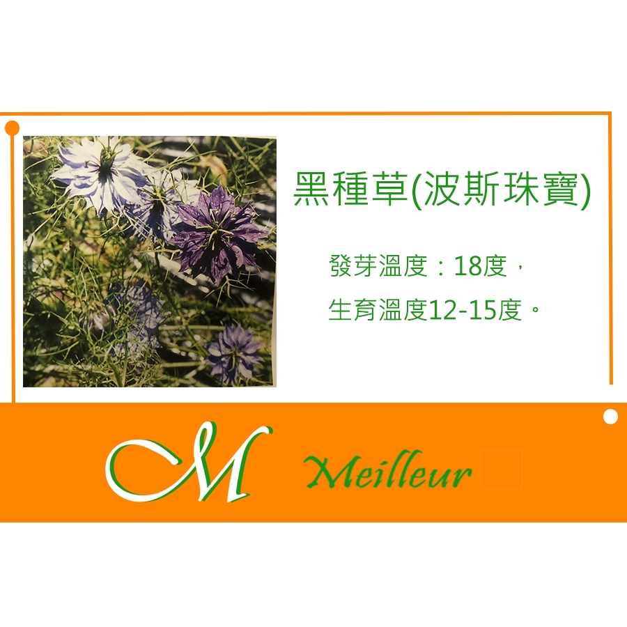 《Meilleur》黑種草(波斯珠寶)混合色種子 0.5g