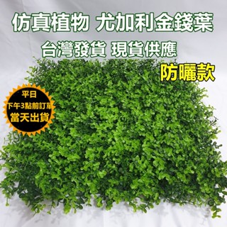 防曬防水款 抗UV仿真植物牆【臺灣現貨 快速出貨】(50cmx50cm/片)✅仿真植物 加高加密尤加利