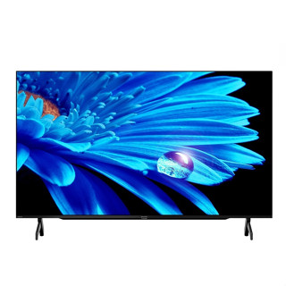 夏普 55型 Google TV聯網顯示器 4T-C55FK1X