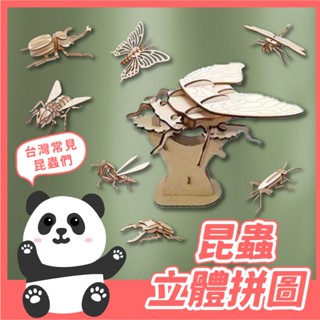 木質昆蟲立體拼圖 昆蟲拼圖 立體拼圖 木頭拼圖 臺灣昆蟲 3D立體拼圖 獨角仙 鍬形蟲 。黑白寶貝。