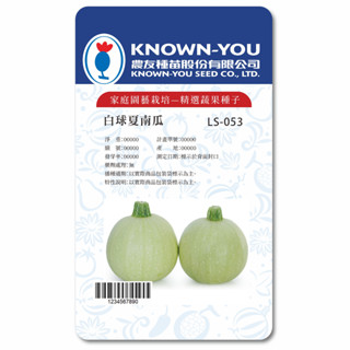 《農友種苗》精選生菜種子 LS-053白球夏南瓜