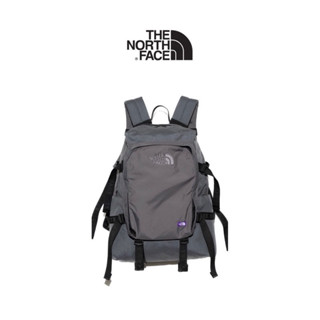 TNF 紫標 揹包 * 二手 the north face 北面