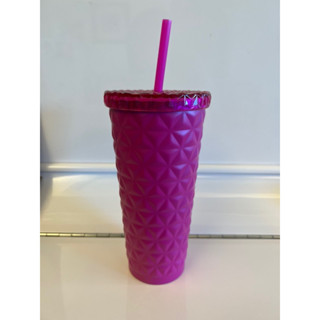 《全新正版公司貨》星巴克字母杯Starbucks不鏽鋼吸管杯 Togo杯 冷飲杯 隨行杯 咖啡杯 冷水杯