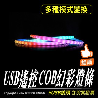 【宸亮光電】USB遙控COB幻彩燈條 USB燈條 附遙控器 1米COB 多種模式 USB控制 COB幻彩