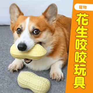 【花生咬咬玩具】寵物玩具 狗狗磨牙棒 花生玩具 磨牙玩具 潔牙玩具 寵物發聲玩具