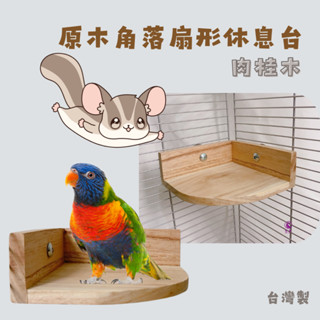 【現貨】原木角落扇形休息臺 鸚鵡休息臺 蜜袋鼯休息臺 鳥平臺 蜜袋鼯平臺 肉桂木臺