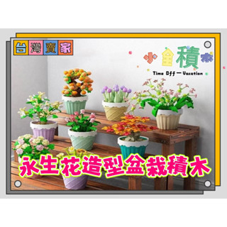 積木《小全積木》森寶積木 植物積木 多肉積木 拼裝積木 花卉積木 兒童積木玩具 造型積木 模型 辦公室積木